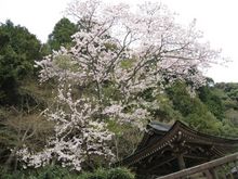 画像 042.jpg
