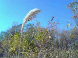 061102-1104.jpg