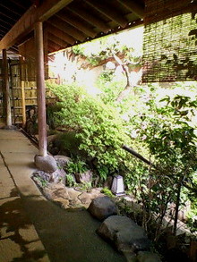 D1000256.jpg