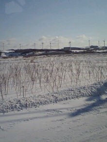 080125_1021~0001.jpg