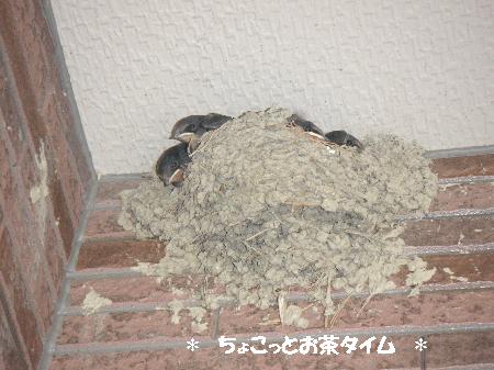 200706250221.JPG
