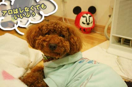 puuchiとAloha~♪な生活