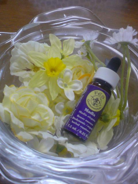 Meg☆natural life of Aromalehua