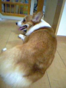 20050723_0