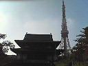 増上寺と東京タワー