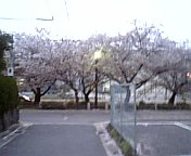 060414_182407.jpg