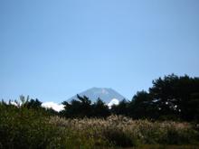富士山