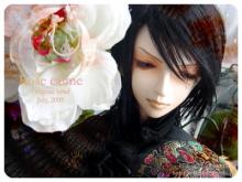 orgn002d