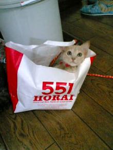 ５５１のホウライ