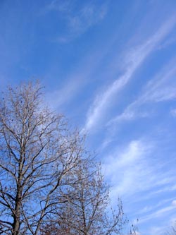 .:.:*.:.:☆　Blog　☆:.:.*:.:.　-空