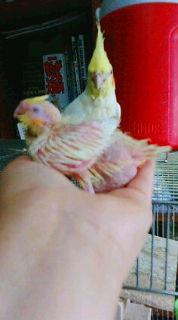 20071004130446.jpg
