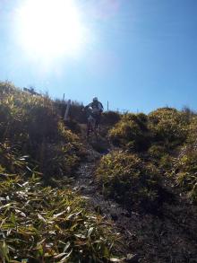 MTB