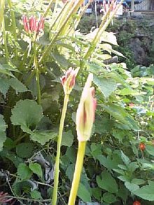 070927_090208.jpg
