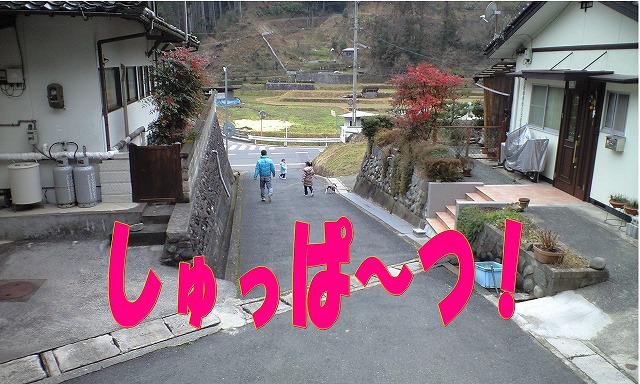 はなと暮らそう