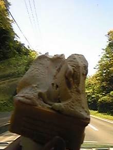 081009_140415.jpg