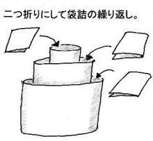 ユリノキ展開模式図