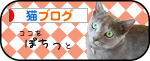 にほんブログ村 猫ブログへ