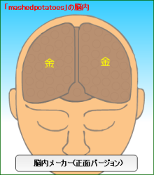 脳内正面