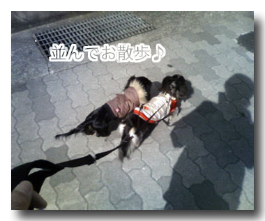 並んで