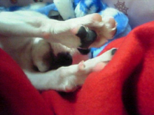 hand2