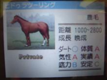 ツーリング