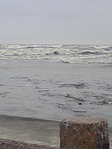 080418_1438~01.jpg