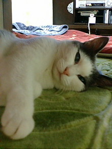 あたち様時間-F1000071.jpg