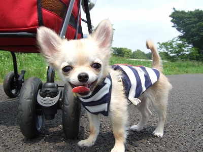 うさこぞう-DSCF7579