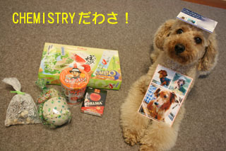 CHEMISTRYだわさ