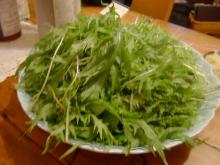 mizuna