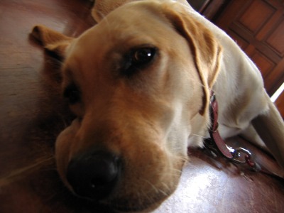 luna-20071018