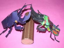 ニジイロクワガタ