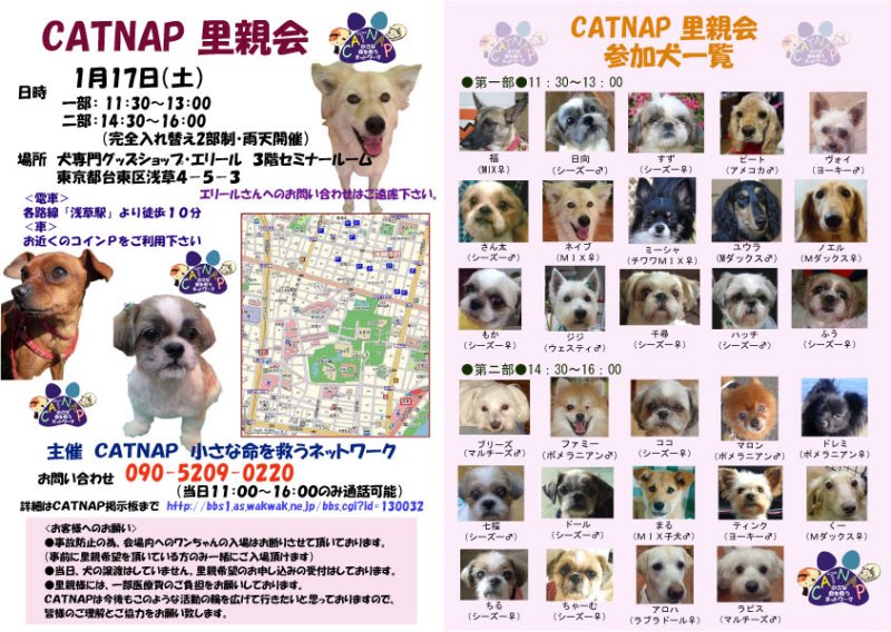 里親会（1/17）に参加します。