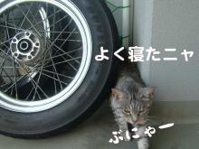 ベランダタイヤ