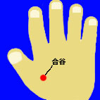 合谷