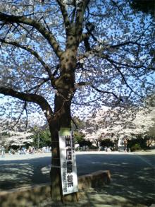 公園2