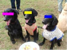 犯行を知る３名