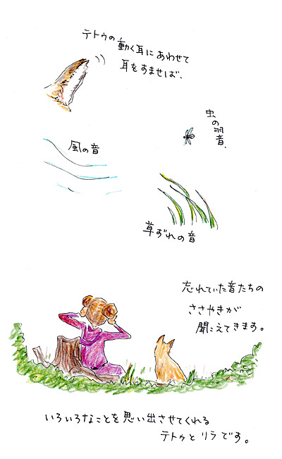 オフィシャルブログ「きつねと私の12ヶ月」-音