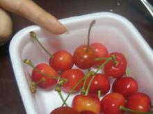 cherry