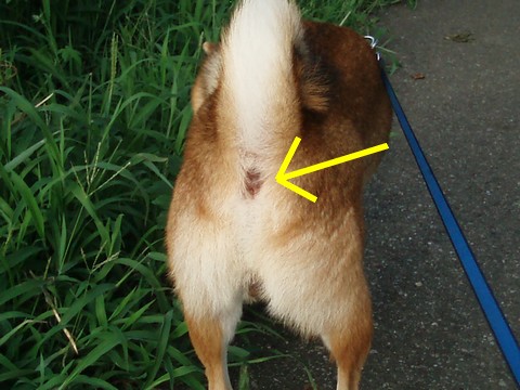 通風孔