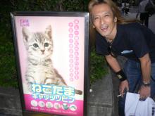 ねこたま_看板.jpg
