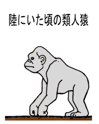 陸にいた類人猿の姿
