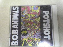 potshot
