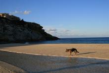 ikatz! @ Spain