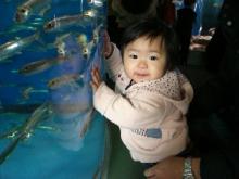 水族館