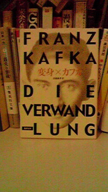 wakuworking Aya's Blog-2009012218380000.jpg