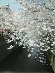2008-03-28_10-17.jpg
