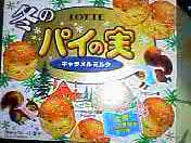 冬のパイの実