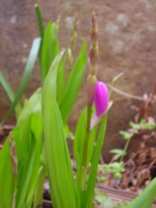 f04