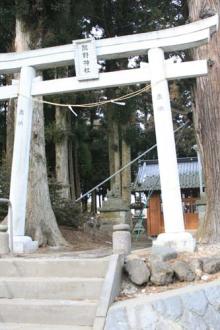 信州浅間山の麓・御代田町、八ヶ岳野辺山高原での小さな発見。